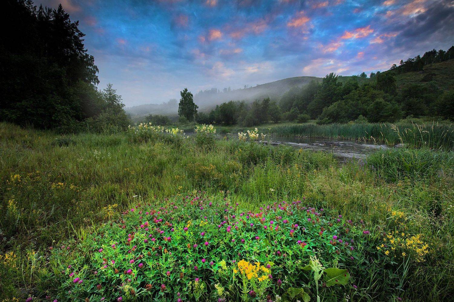 , Орлов Михаил