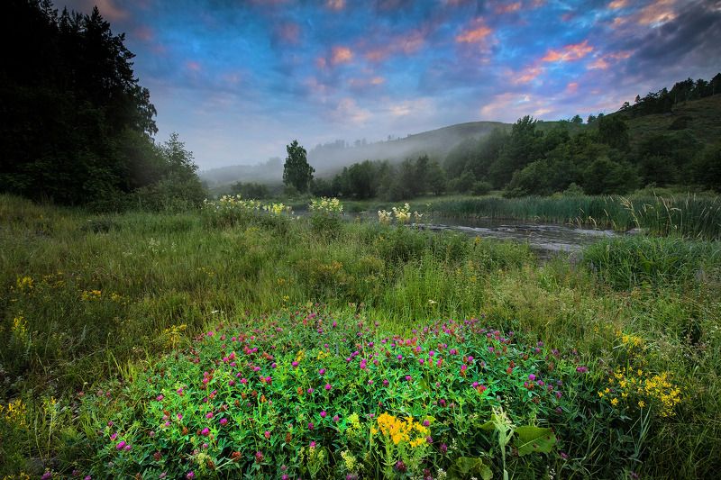 Башкирское полнотравие фото превью