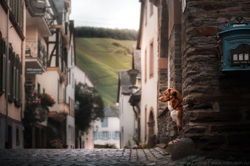 Сказочный город 