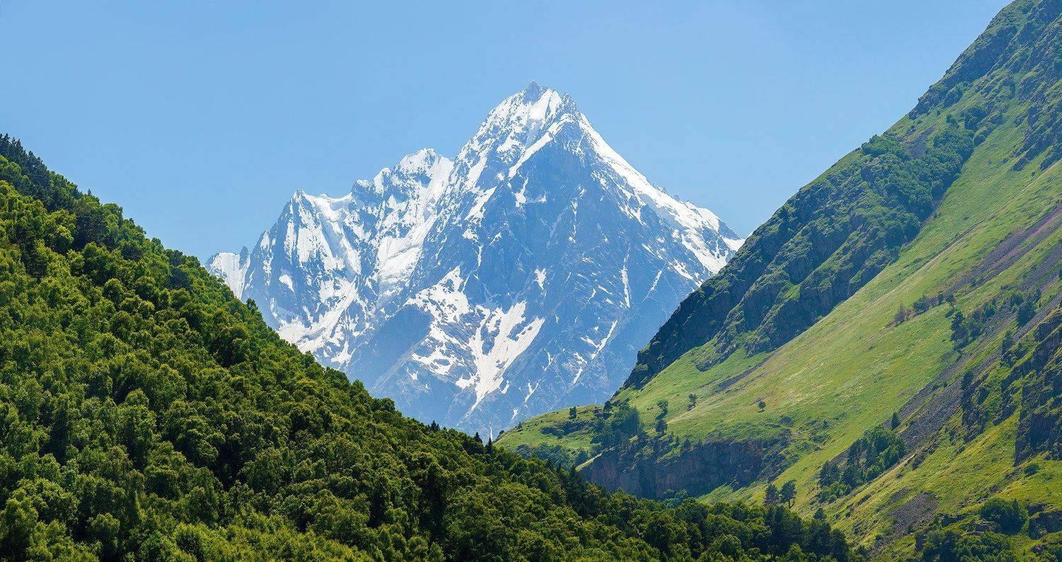 , Заур Вороков