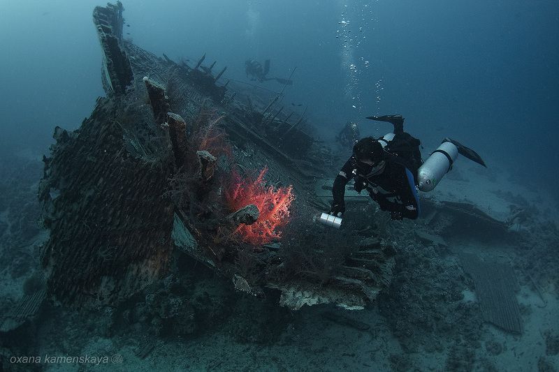 Emperor Fraser wreck corals Emperor 3.0. фото превью
