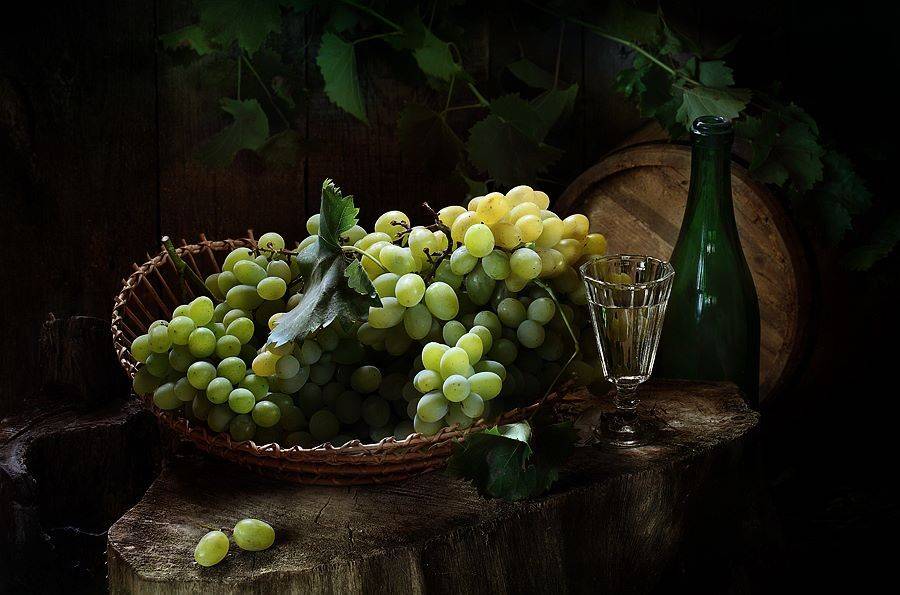 чача, Марина Володько