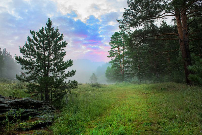 утро фото превью