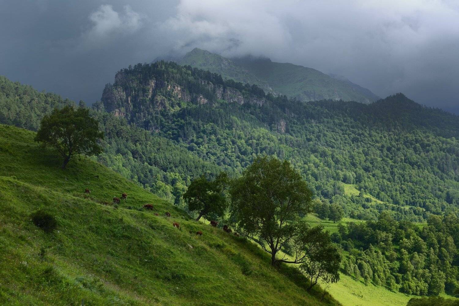 горы лето вечер аксаут, Александр Жарников