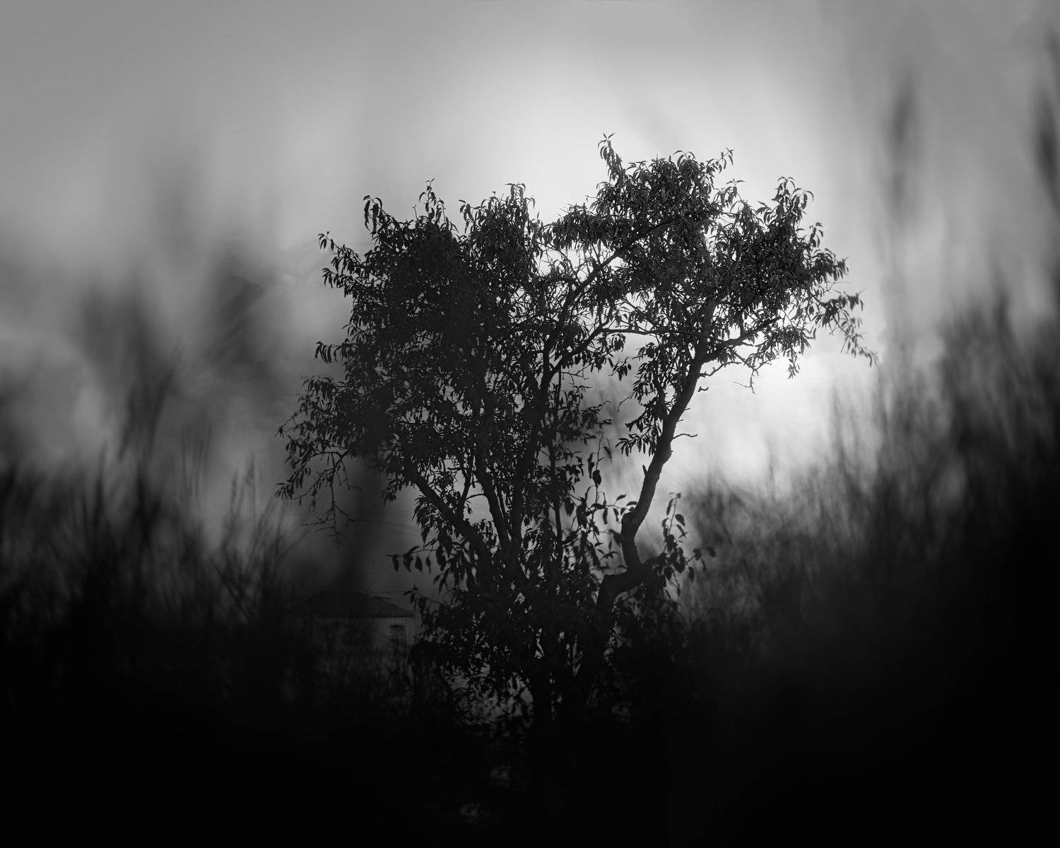 чб, Игорь Крюков