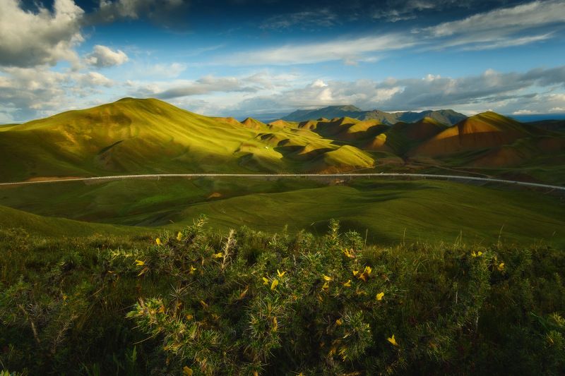 киргизия, кыргызстан, средняя азия, горы, каньон, скалы, пейзаж, лето, ущелье, дорога, утро, серпантин, перевал Дорогами Киргизии фото превью