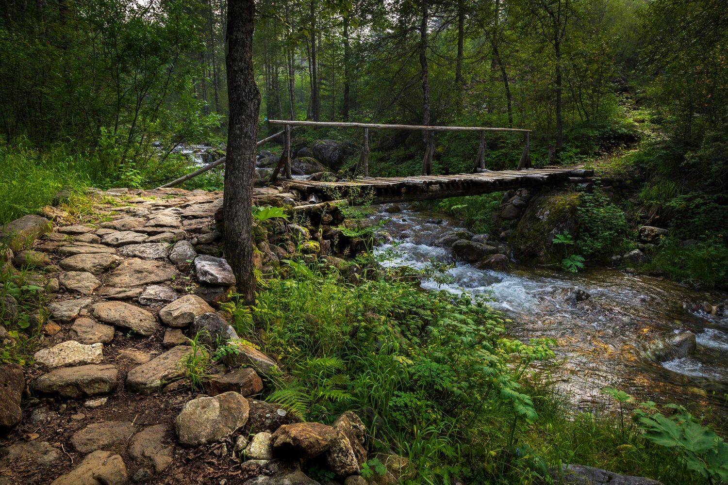 тропа, лес, мост, брусчатка, река, хамар-дабан, Вячеслав Мельников
