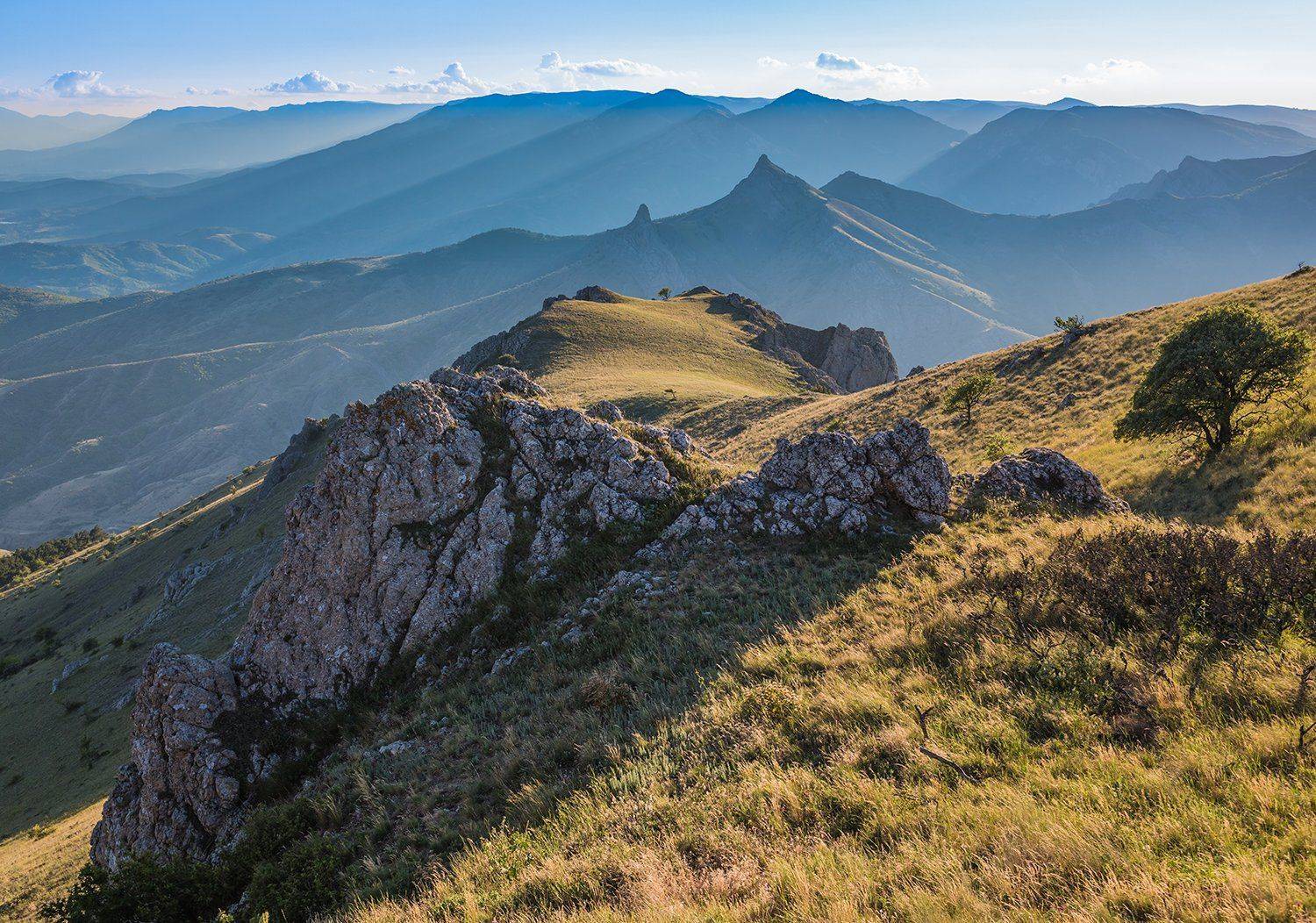 , Станислав Савицкий