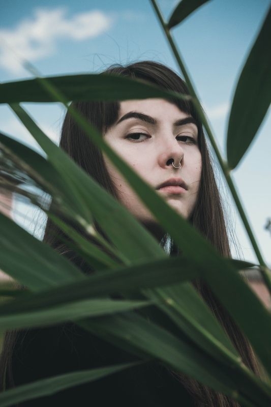 Шелест ветра фото превью