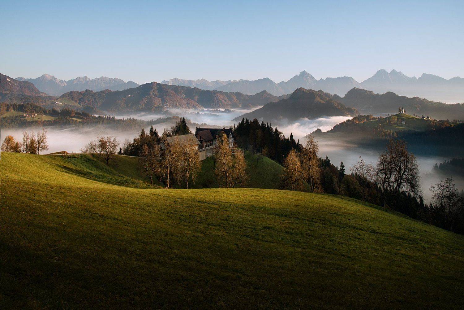 , Albena Andonova-Asa