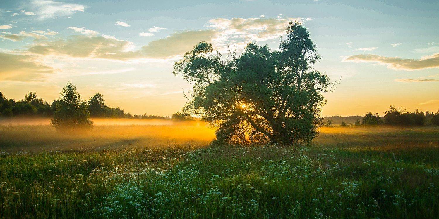 , Воробьёв Евгений