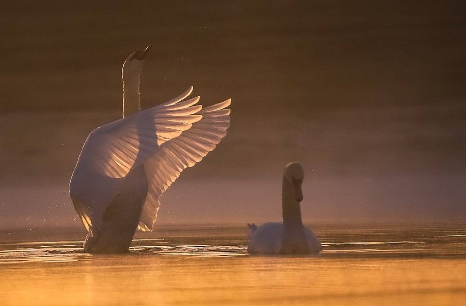 , Вячеслав Мищенко