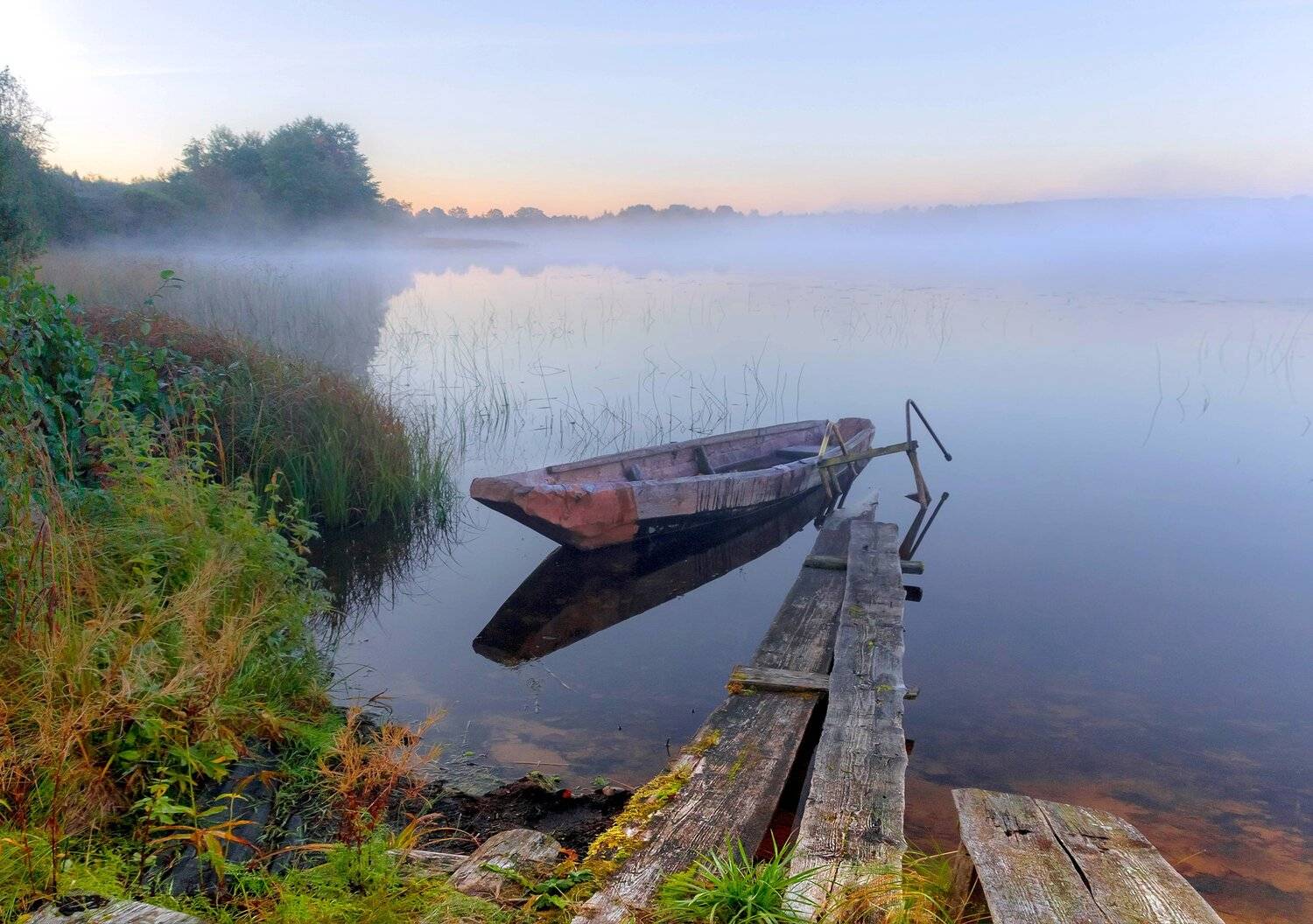 вепсский лес, Павел Ващенков