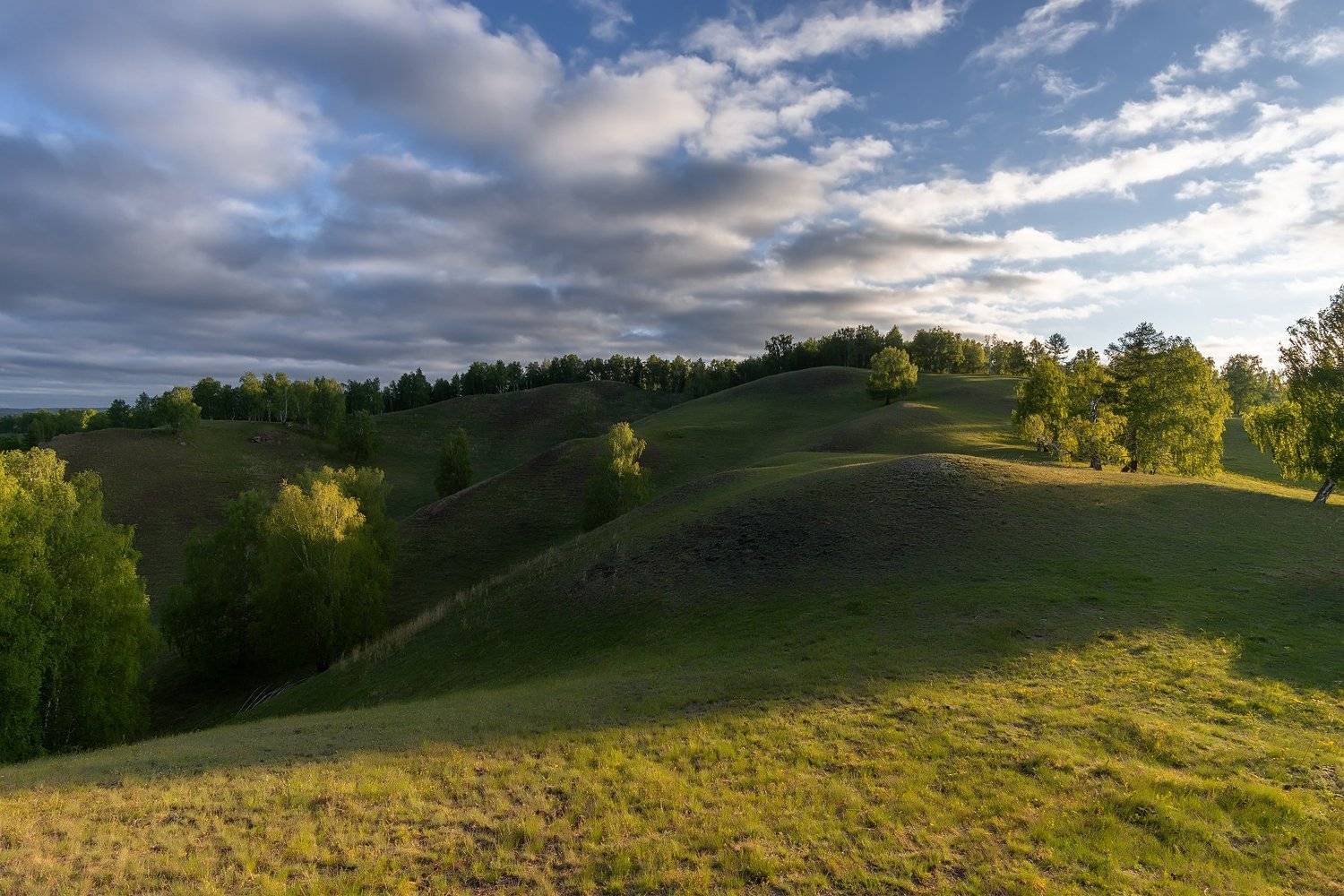 утро, рассвет, восход, туман, лучи, Леонид Максименко