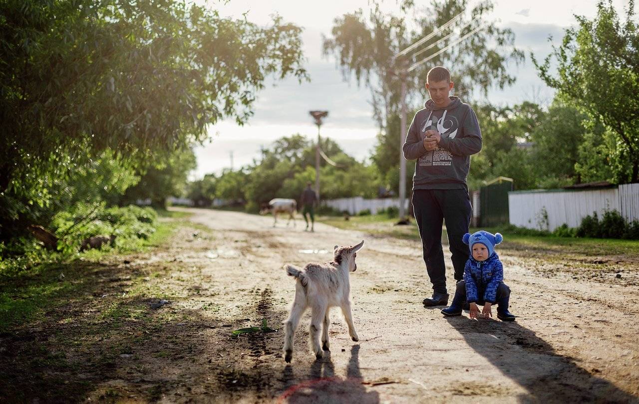 село,деревня,жизнь,знакомство,лето,животные,семья,дети, Taras