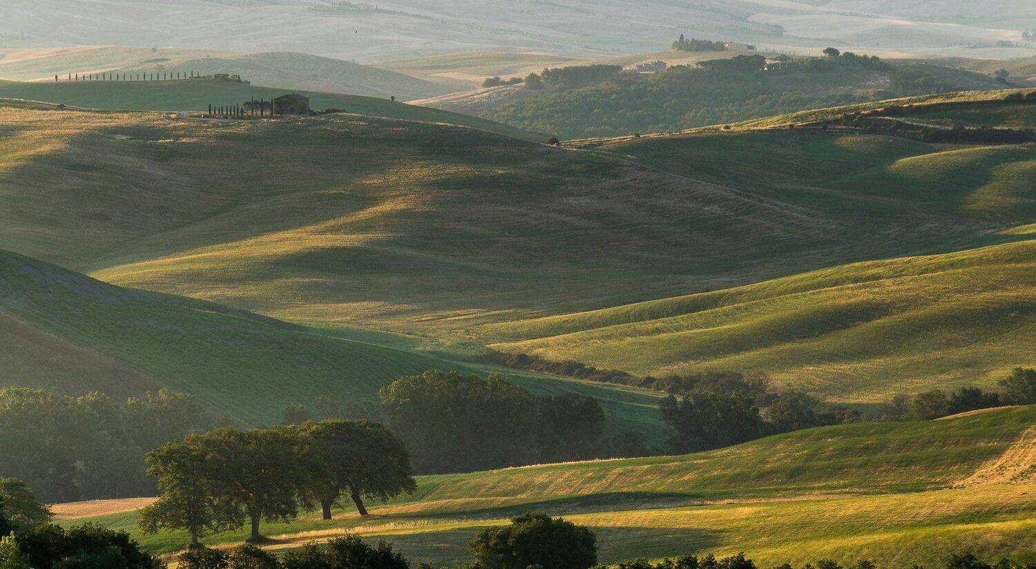 тоскана, Исаков Дмитрий