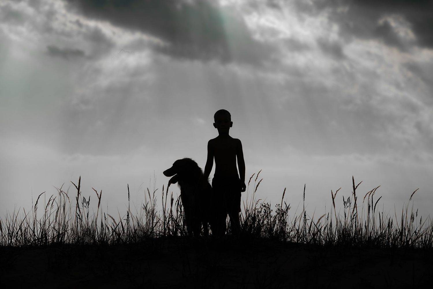 мальчик, собака, закат, силуэты, Виктория Разина