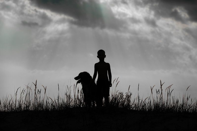 мальчик, собака, закат, силуэты Друганы фото превью