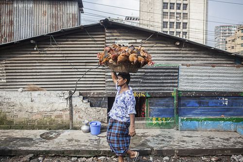Face Of the Bangladesh 
