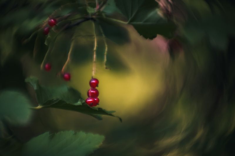 Последние  фото превью