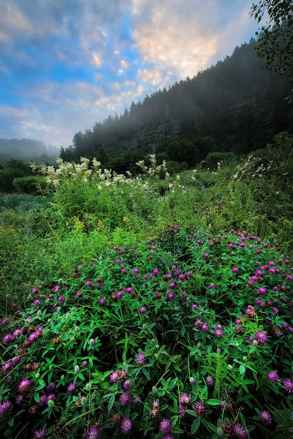 , Орлов Михаил