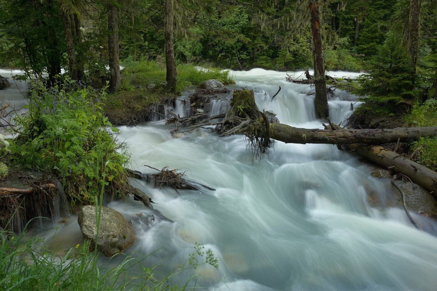 горы лето река наводнение гоначхир, Александр Жарников