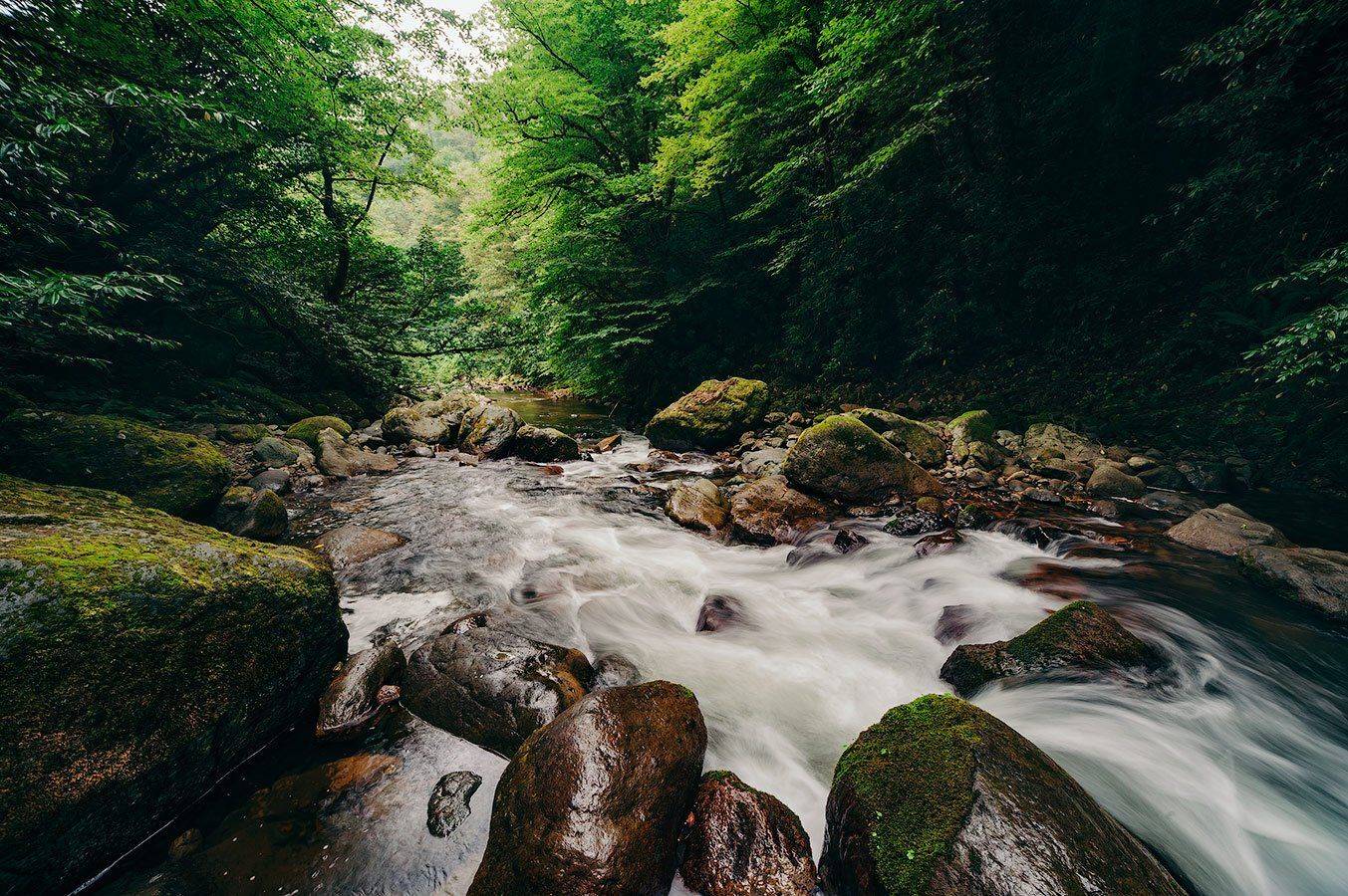 , Олег Логунов