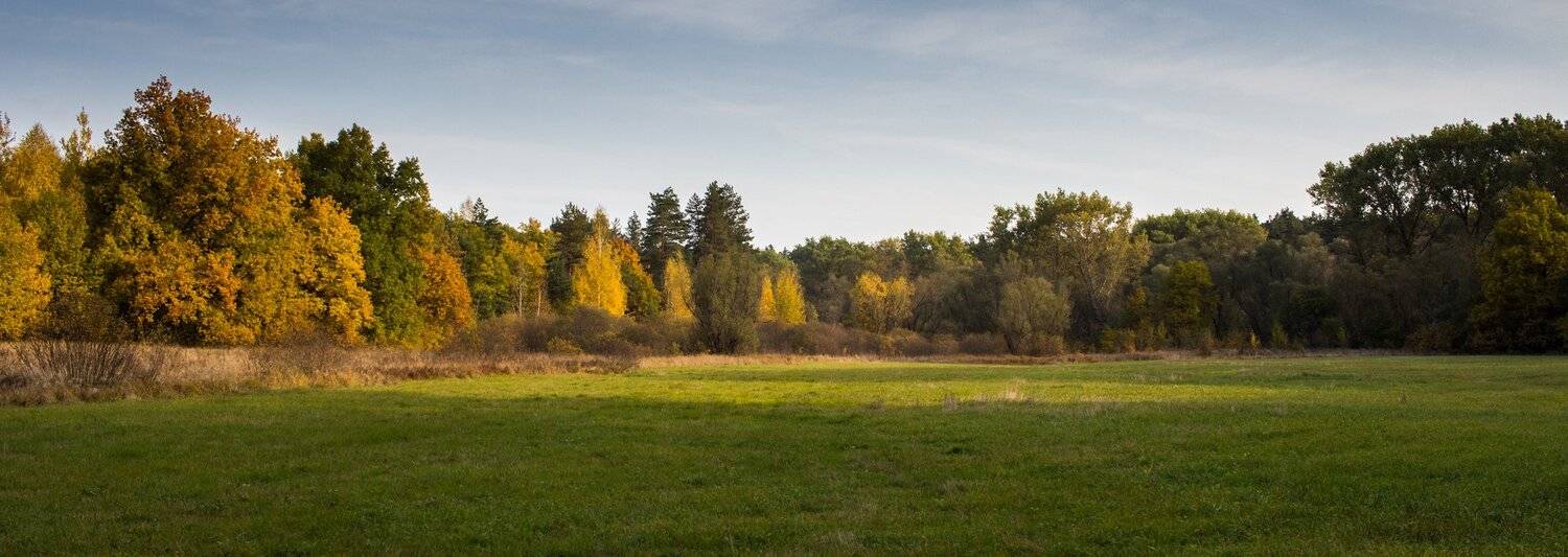 , Руслан Востриков