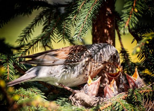 Есть хотим.