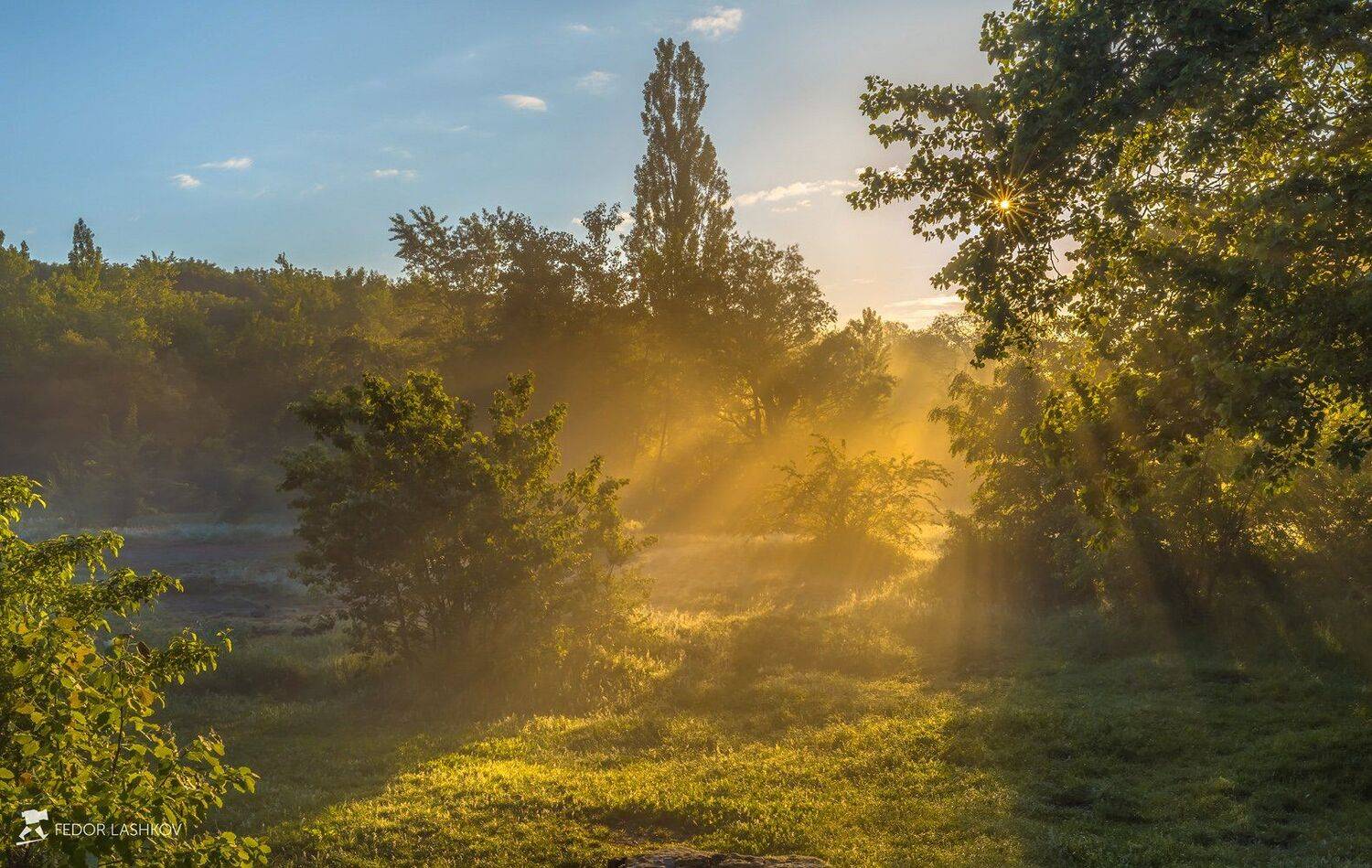 ставропольский край,  путешествие, фотоальбом, ставрополье, лес, поляна, рассвет, туман, весна, среднйи формат, pentax645z, pentaxrussia, pentax, лучи, куст., Лашков Фёдор