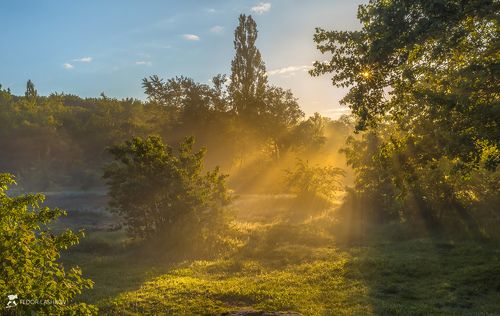 Картина рассвета
