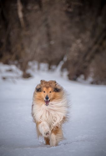 В ожидании весны