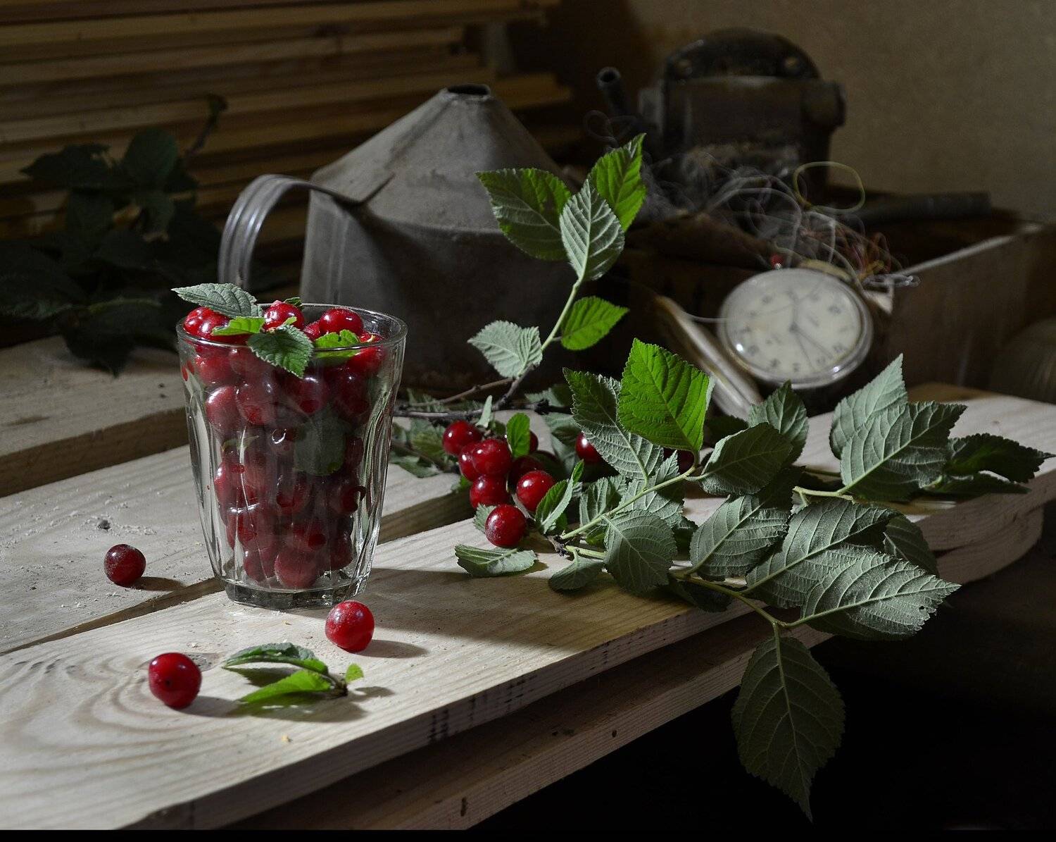 Подвал, доски, часы, вишня., Оксана Евкодимова