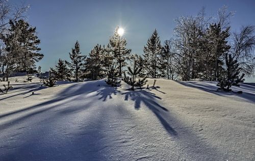 Зимний  пейзаж