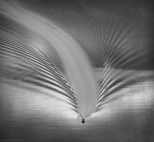 Silver feather