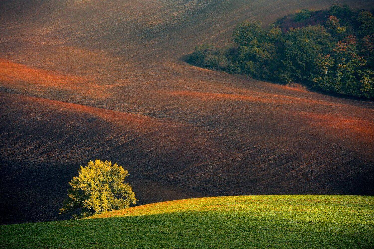 landscape,canon,light,autumn,moravia, Iza i Darek Mitręga