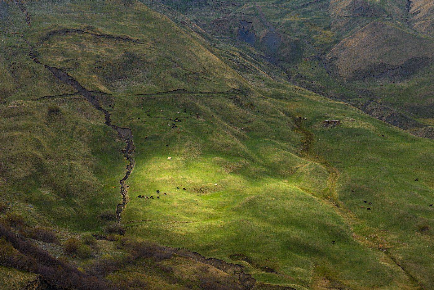 , Кутыгин Эдуард