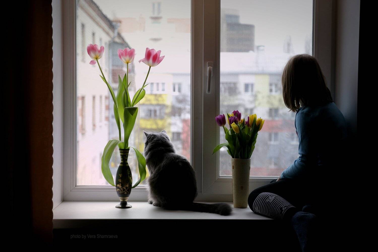 девочка , вечерняя сьемка, жанровый портрет,кошка  вера шамраева, Вера Шамраева