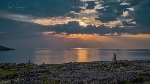 На берегу студёного океана