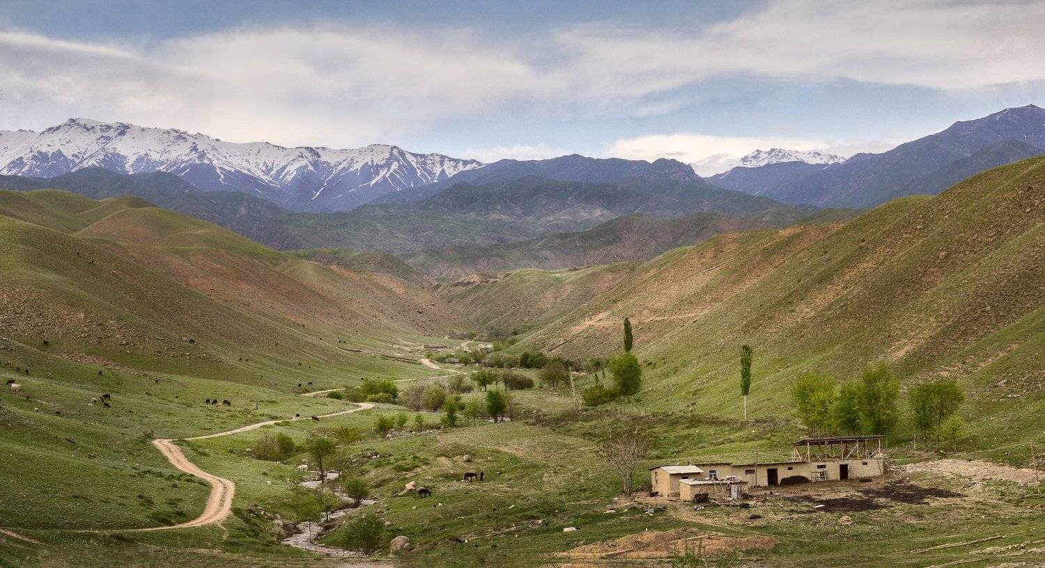 , Скиндерева Ольга