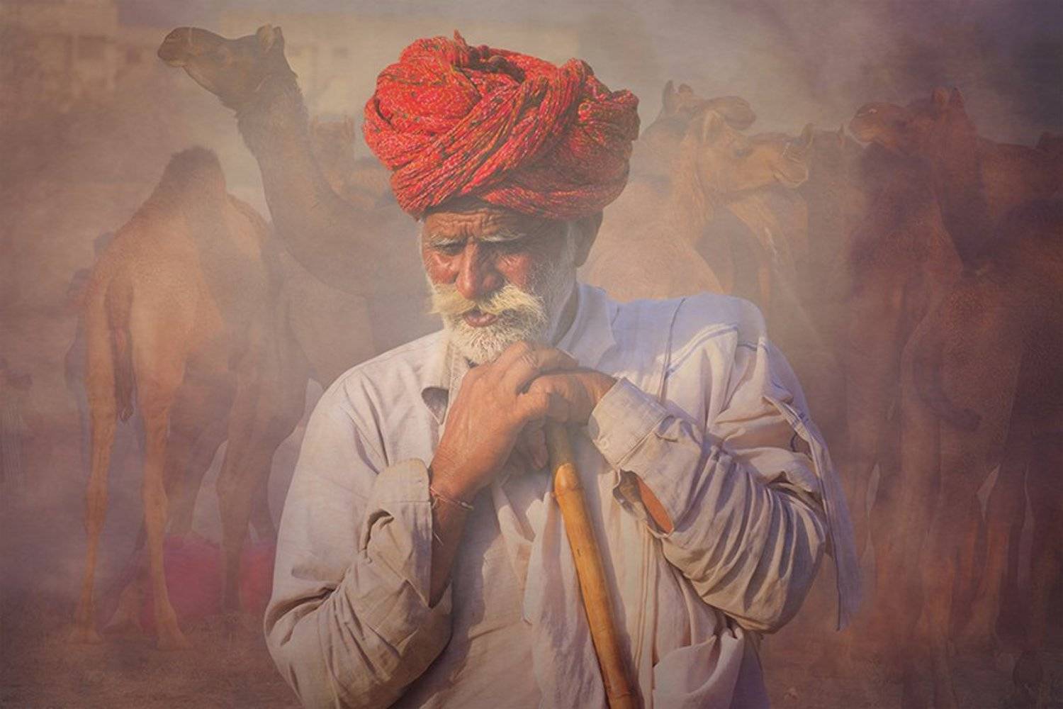 Rajasthani ,INDIA,man, Svetlin Yosifov