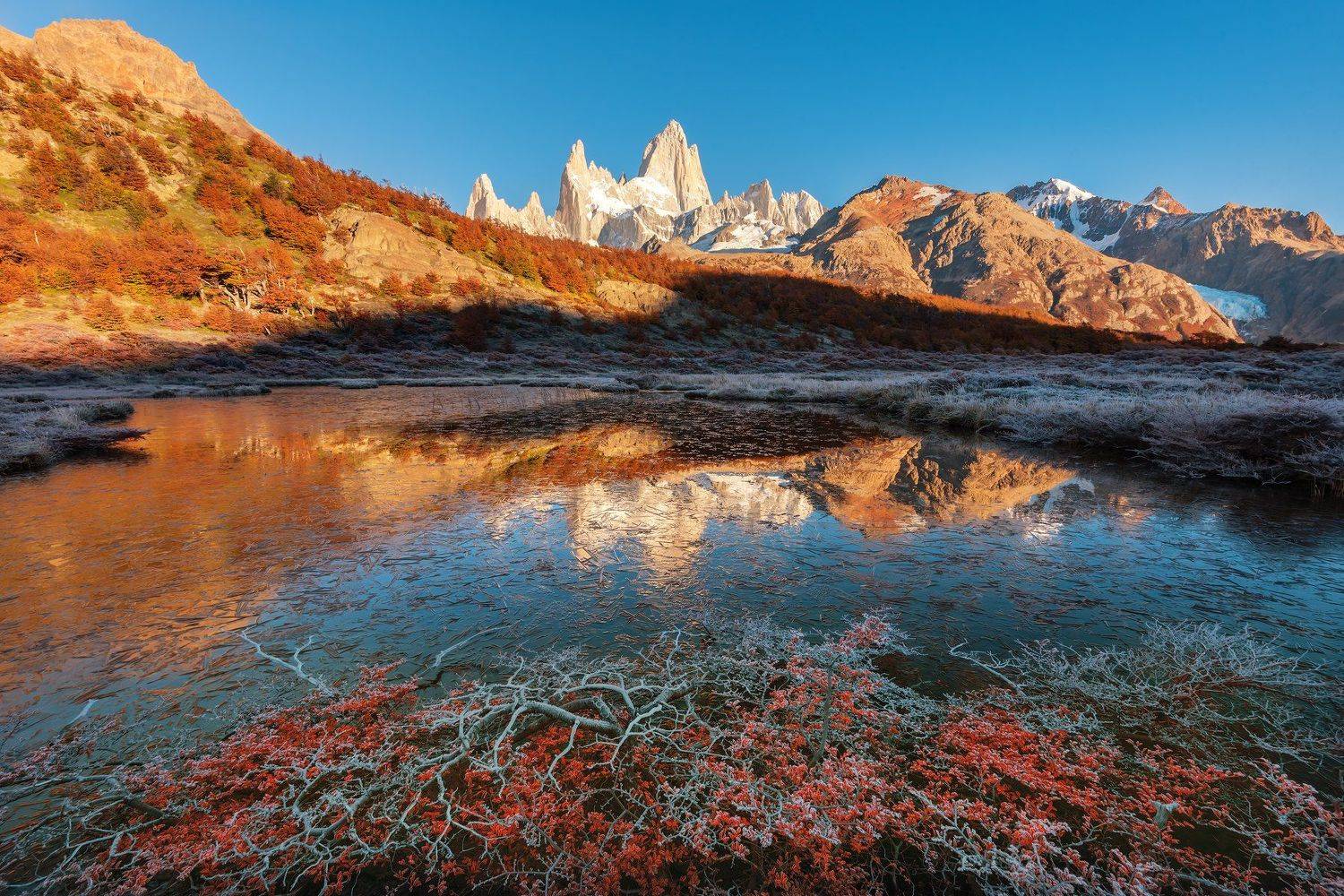 , Дмитрий Саприн