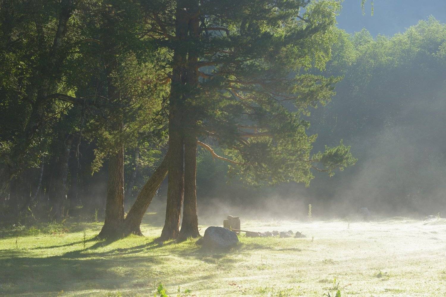 горы лето утро аксаут, Александр Жарников