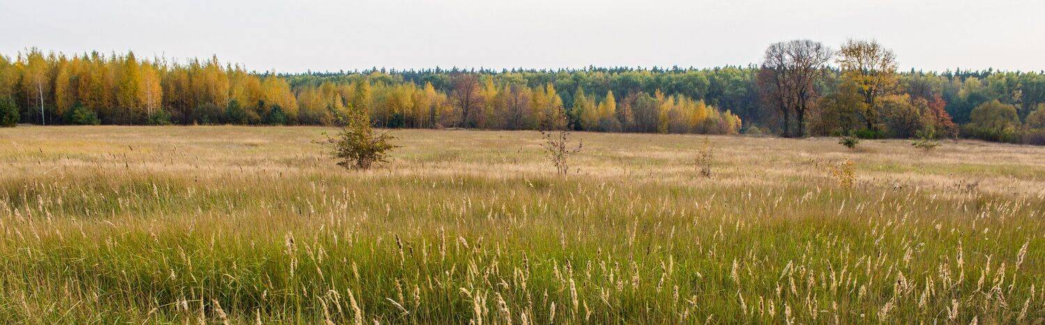 , Руслан Востриков