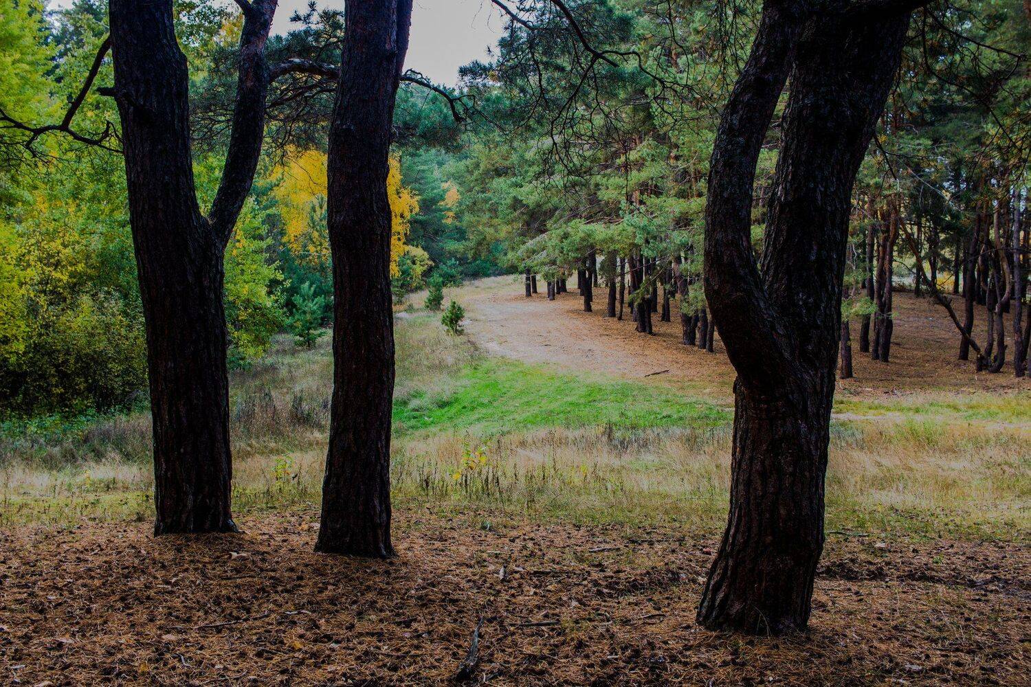 , Руслан Востриков