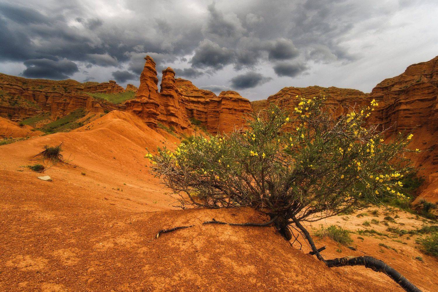 киргизия, кыргызстан, азия, горы, каньон, скалы, пейзаж, весна, ущелье, Оборотов Алексей