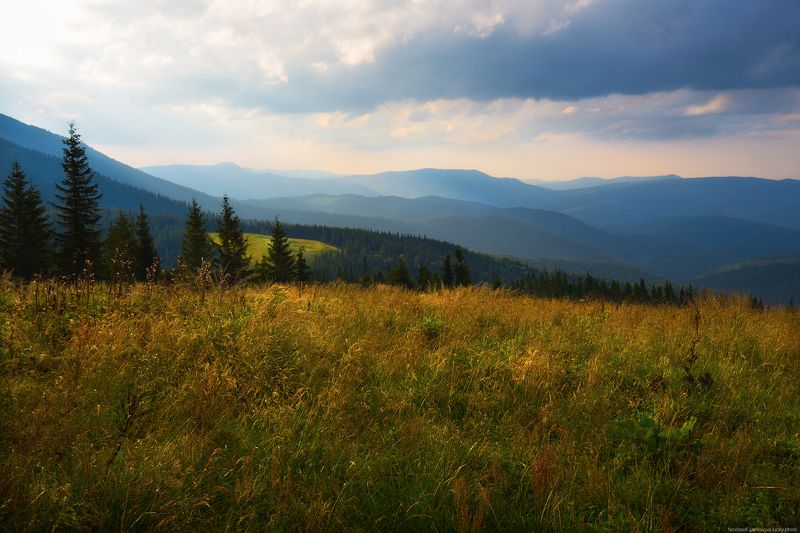 Солнце низко, вечер близко.. фото превью