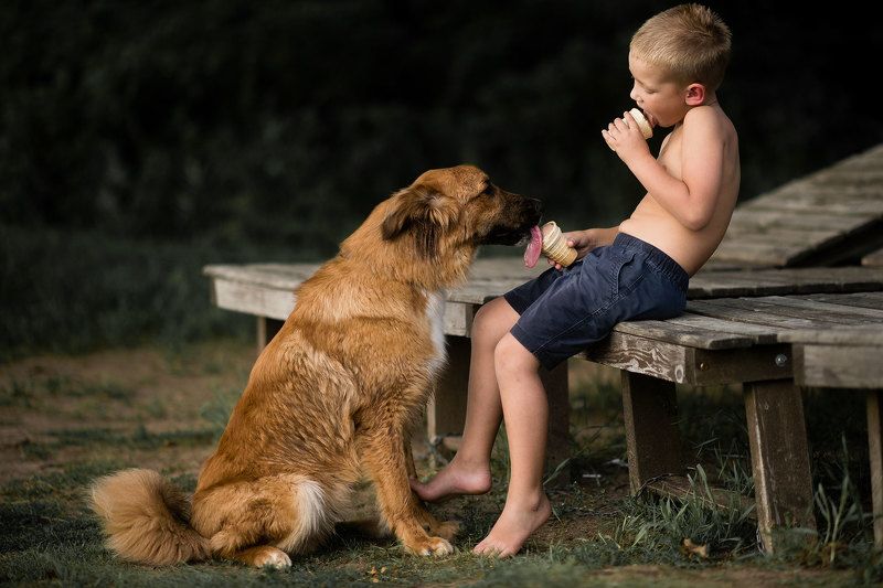 мороженое, собака, ребенок Собака тоже человек) фото превью