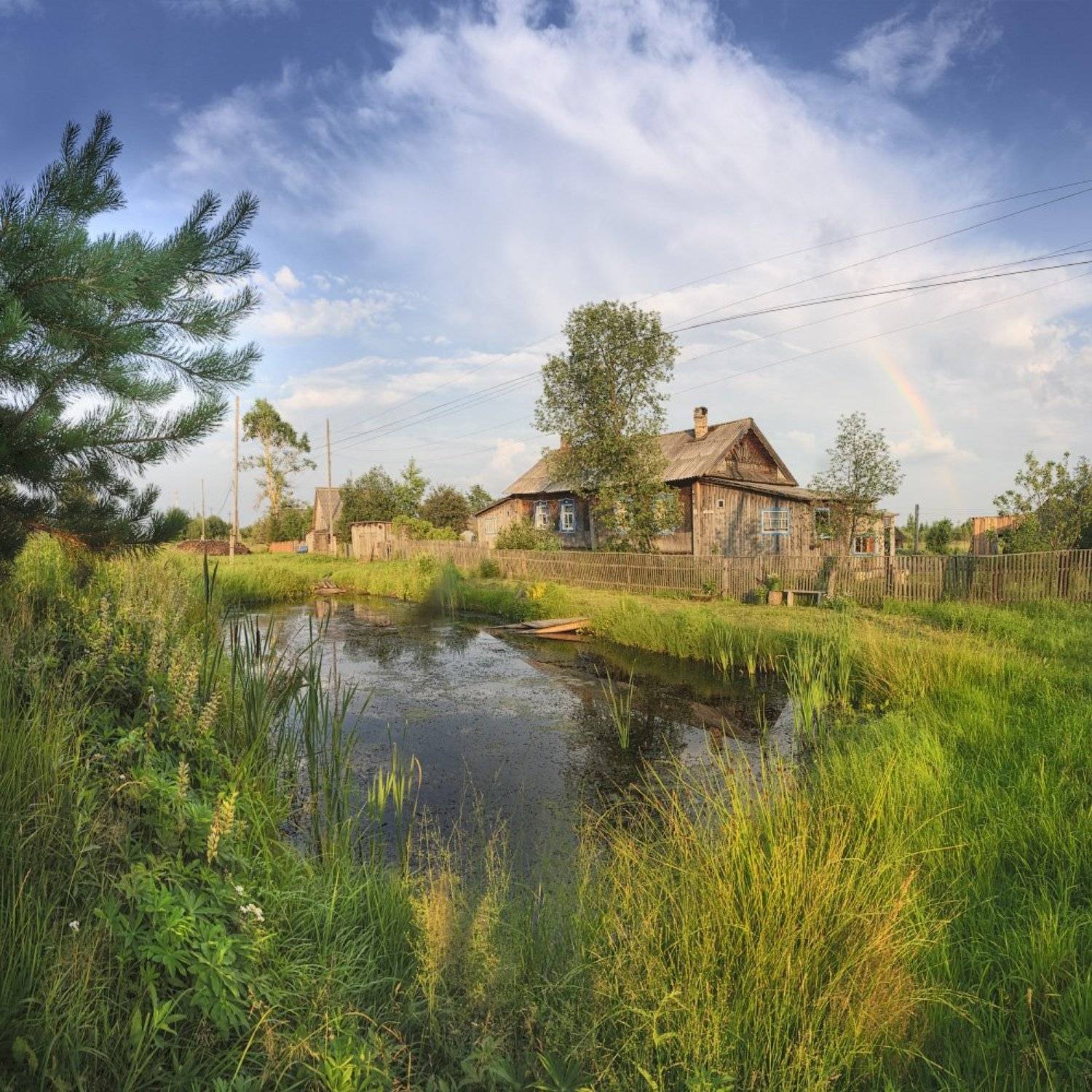 , Дмитрий Медянцев