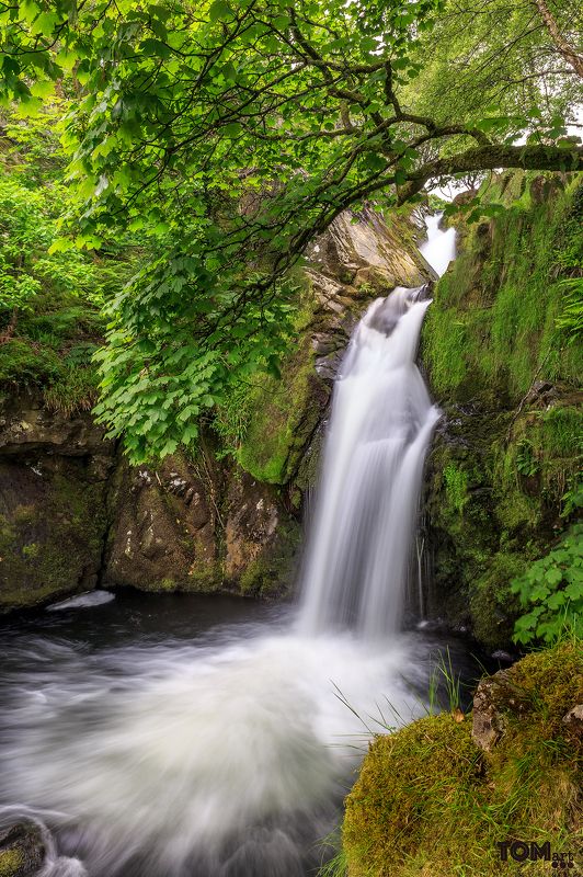 waterfall water longexposure long exposure slowmotion uk england unitedkingdom snowdonia green b&w monochrome stone stones rock rocks nature plants motion silkywater silky smooth Waterfalls фото превью